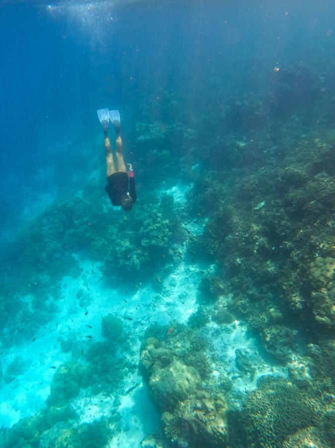 Paguro Seaview Otel Bodufolhudhoo Dış mekan fotoğraf